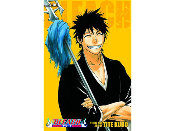 Bleach 3-In-1 Edition, Vol. 10