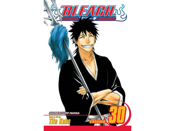 Bleach, Vol. 30