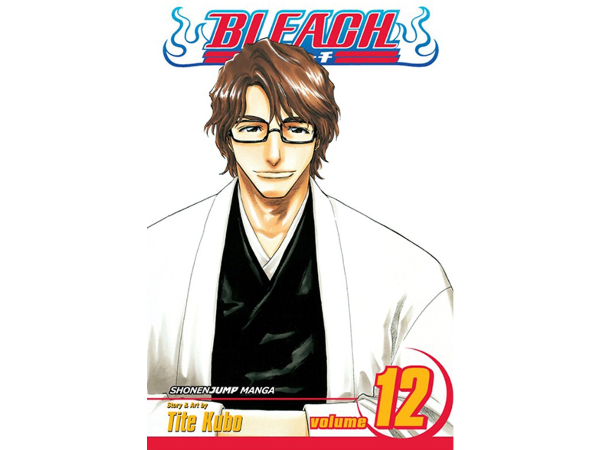 Bleach, Vol. 12