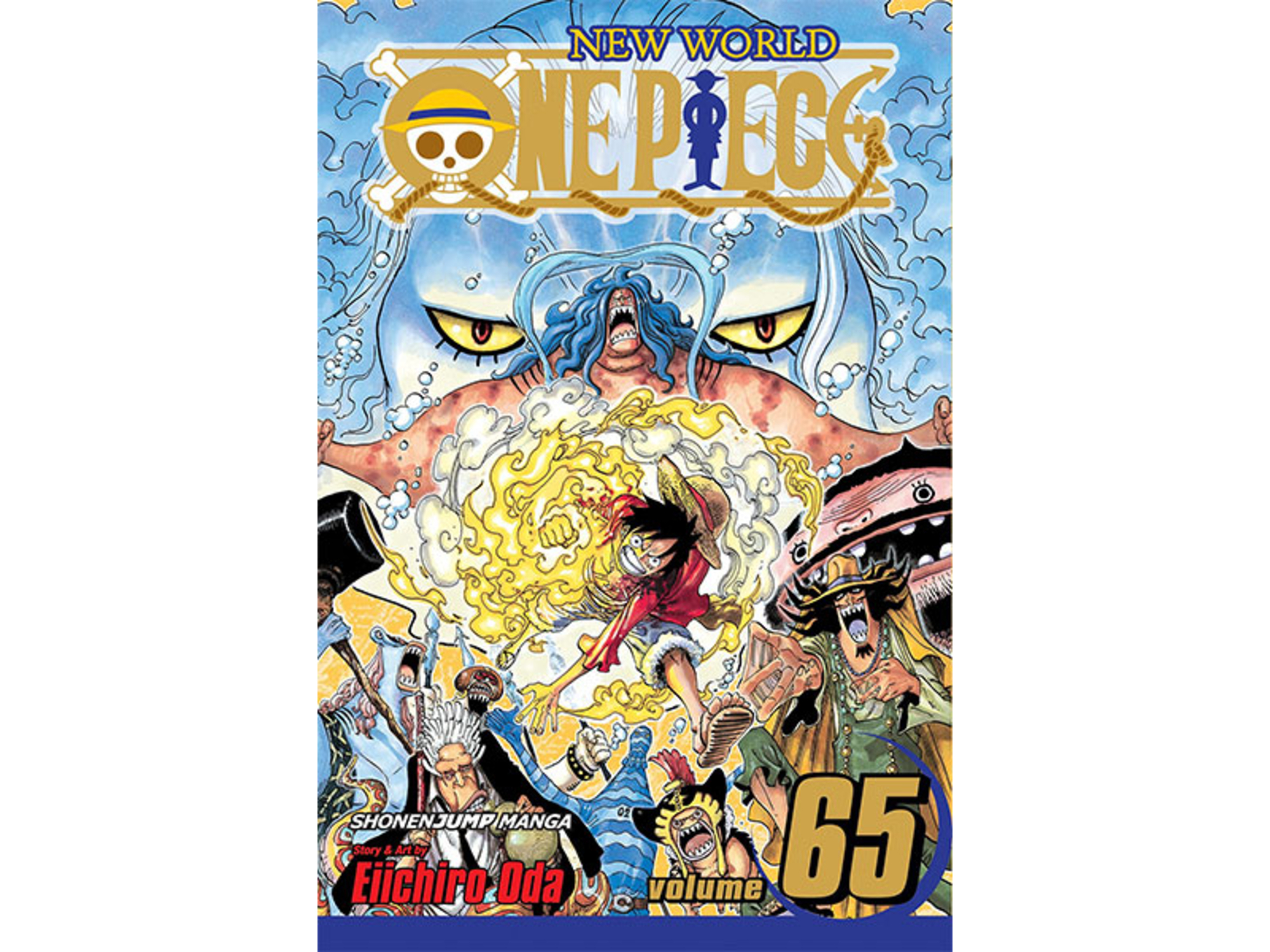 One Piece, Vol. 65